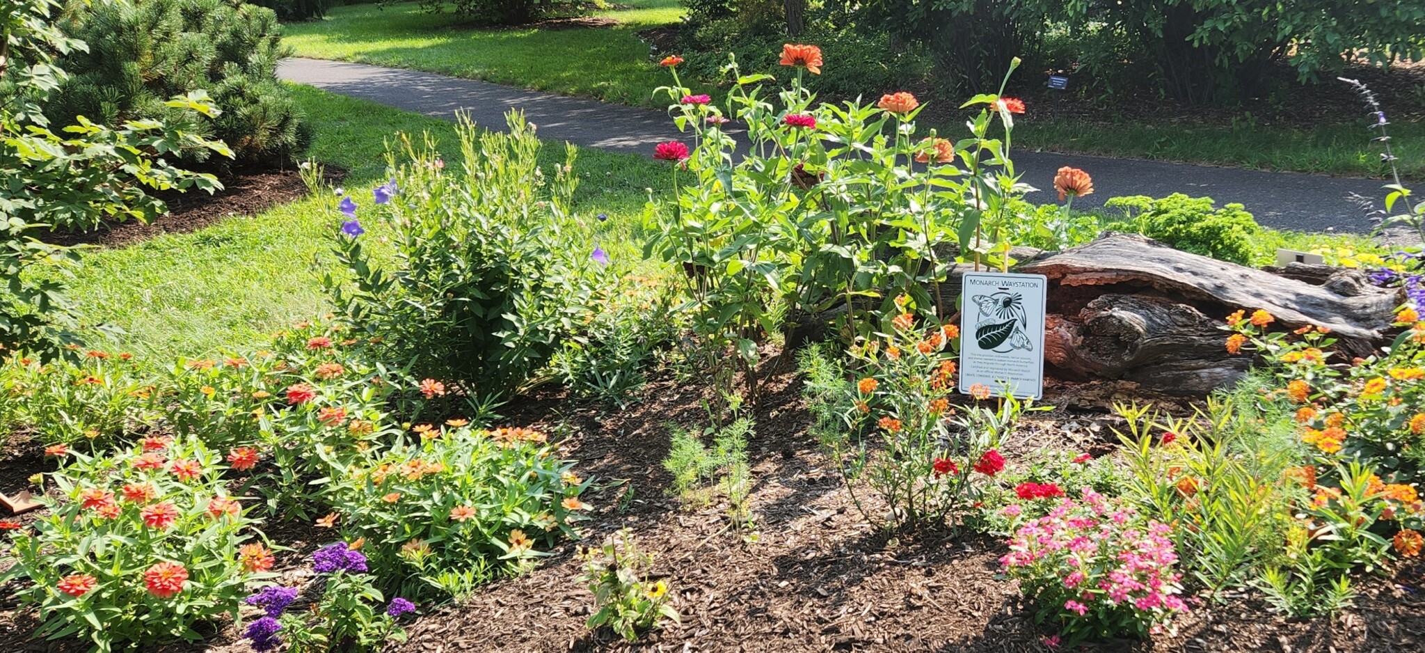 Loomis Life April 2024 Loomis