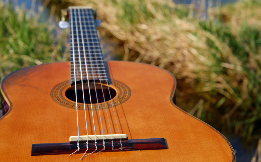 Guitar